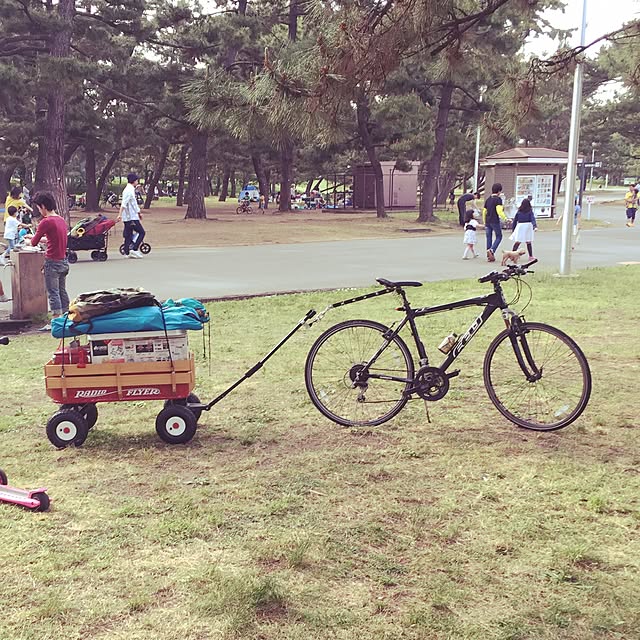 実例写真