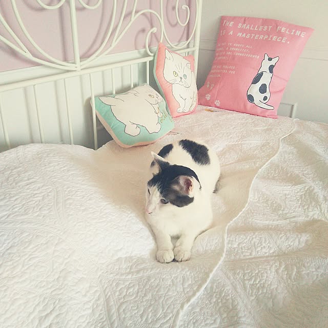 sakuraさんの実例写真