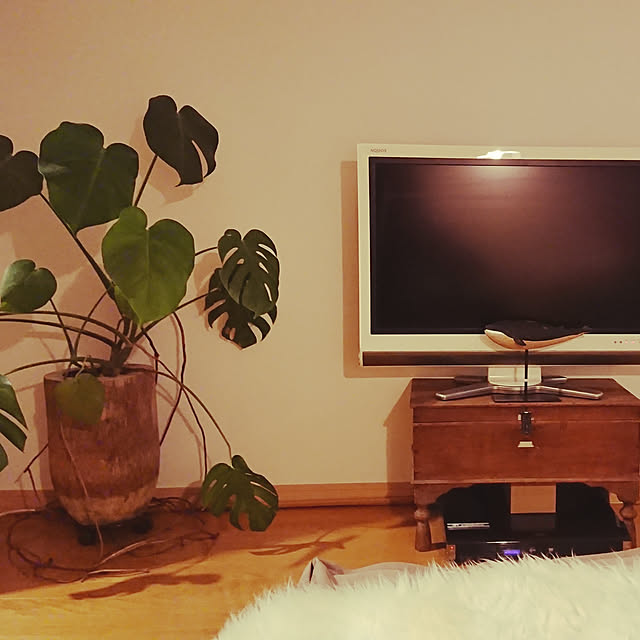 horohorotoriさんの実例写真