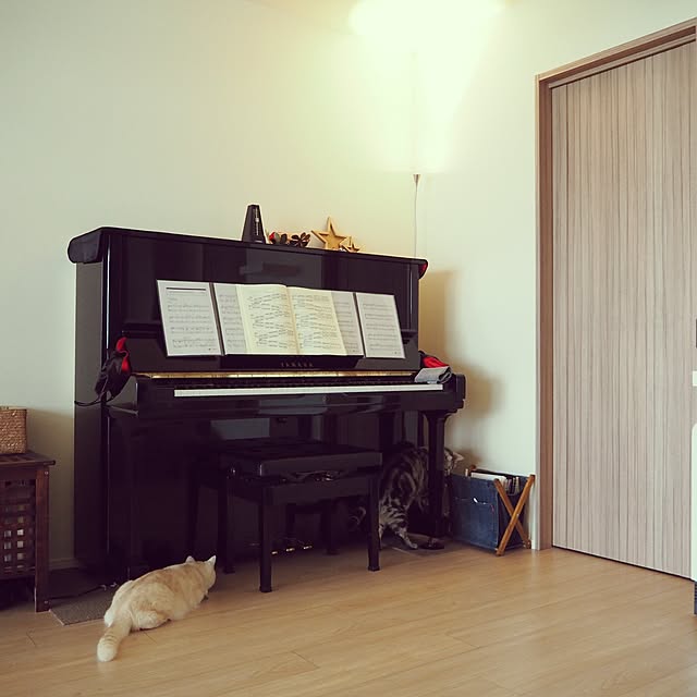 y.k.0123さんの実例写真