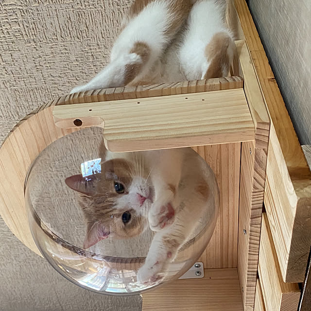 mintteaさんの実例写真