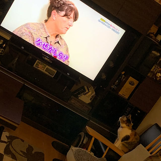 akiさんの実例写真