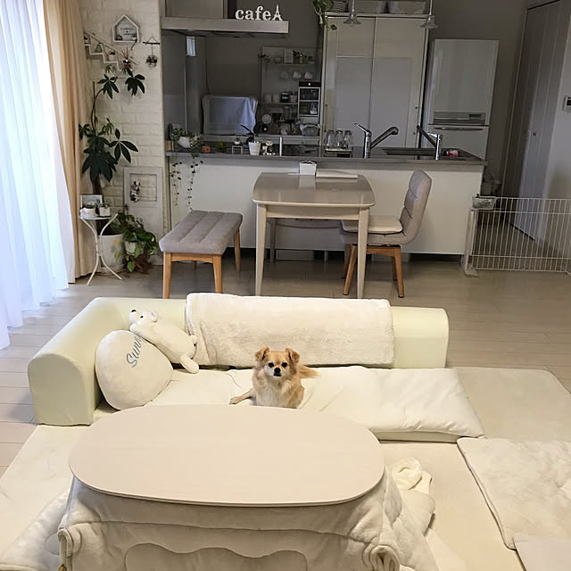 miepさんの実例写真