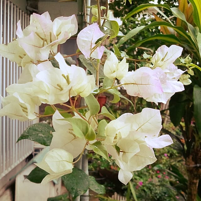sato.さんの実例写真