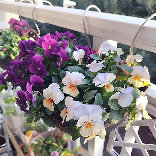 yuuu7712さんの部屋