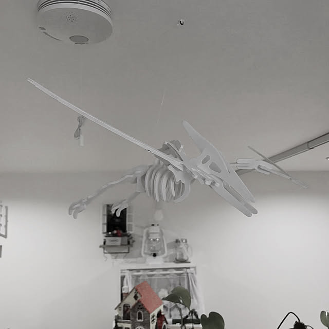 earlさんの実例写真