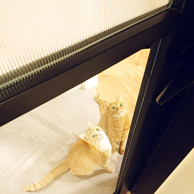 poteさんの実例写真