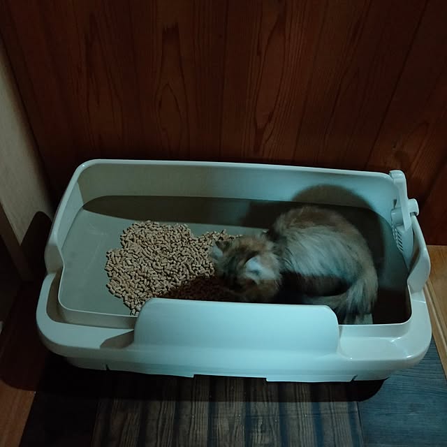 makaronさんの部屋