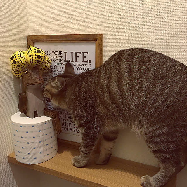 mikomaruさんの実例写真