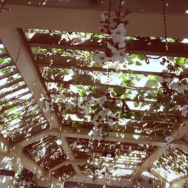 Nanaさんの実例写真
