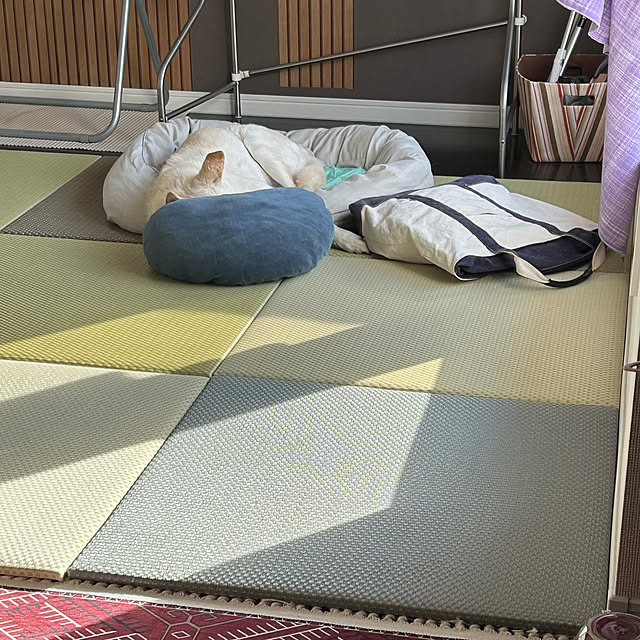 tanboさんの部屋