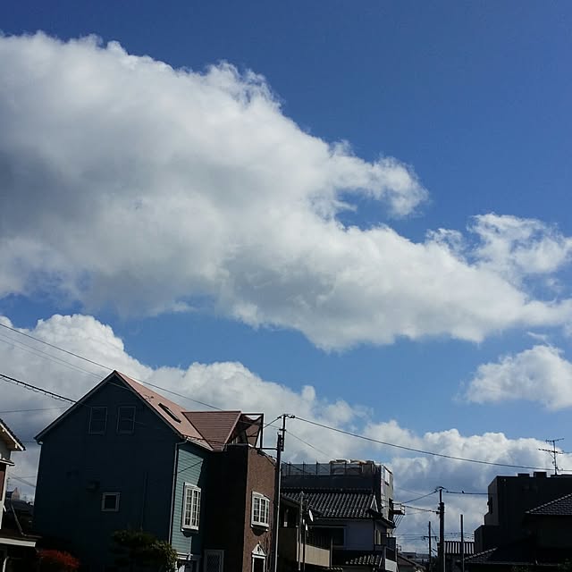 karinさんの実例写真