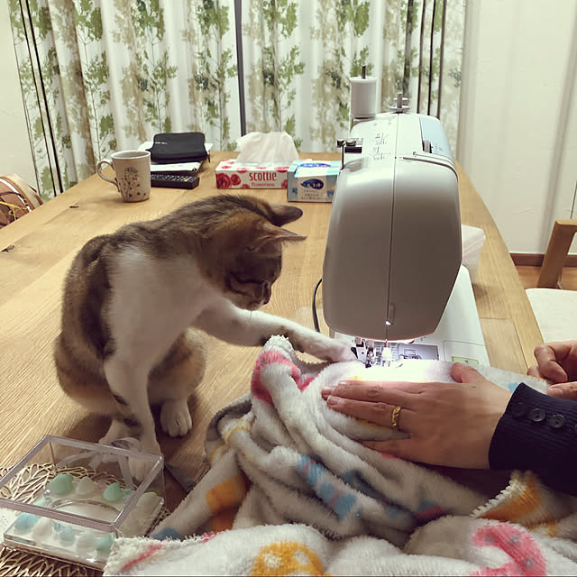 yurari.bonnさんの実例写真