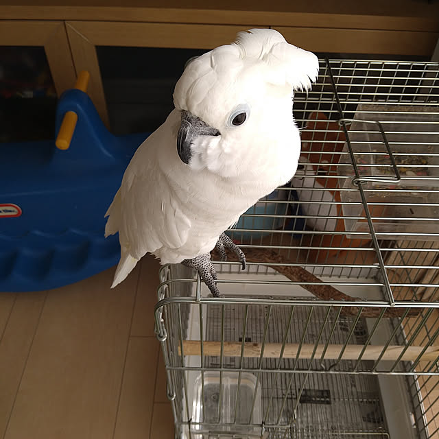 tkさんの実例写真