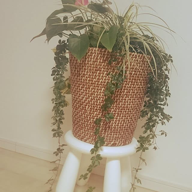 yukixx328さんの実例写真