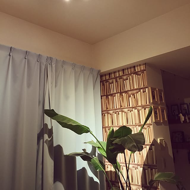 Eiriさんの実例写真