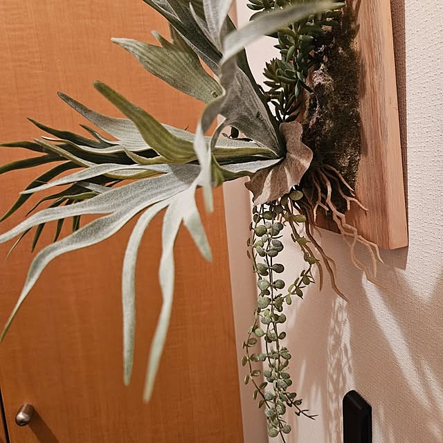 mogmogさんの部屋