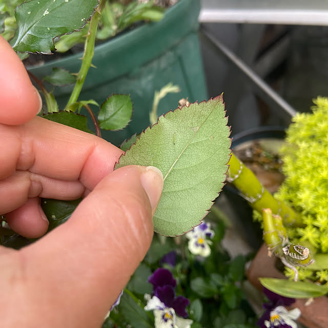 na-chanさんの部屋