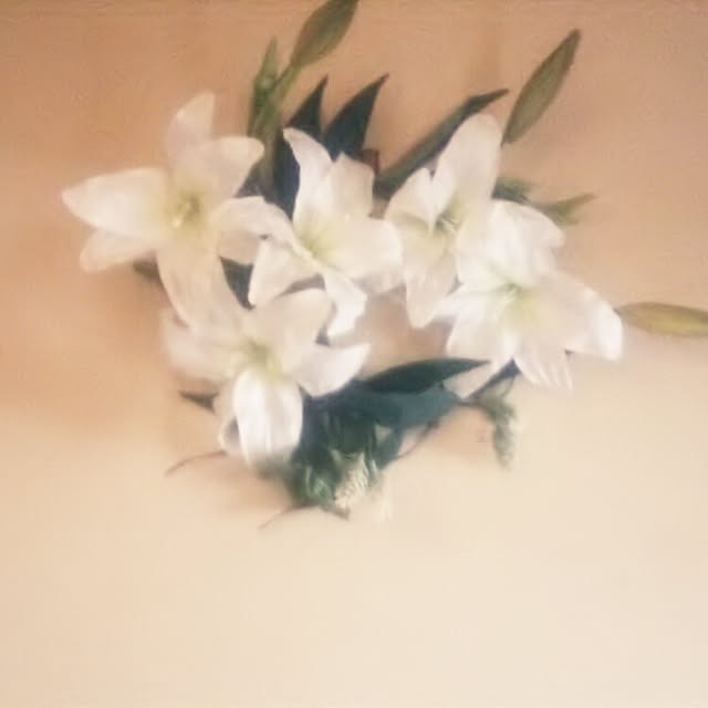 tomopさんの実例写真