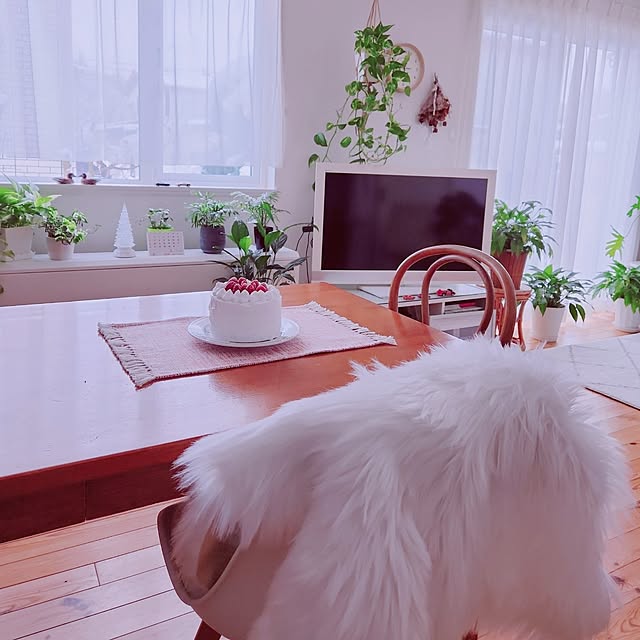 surviveさんの部屋