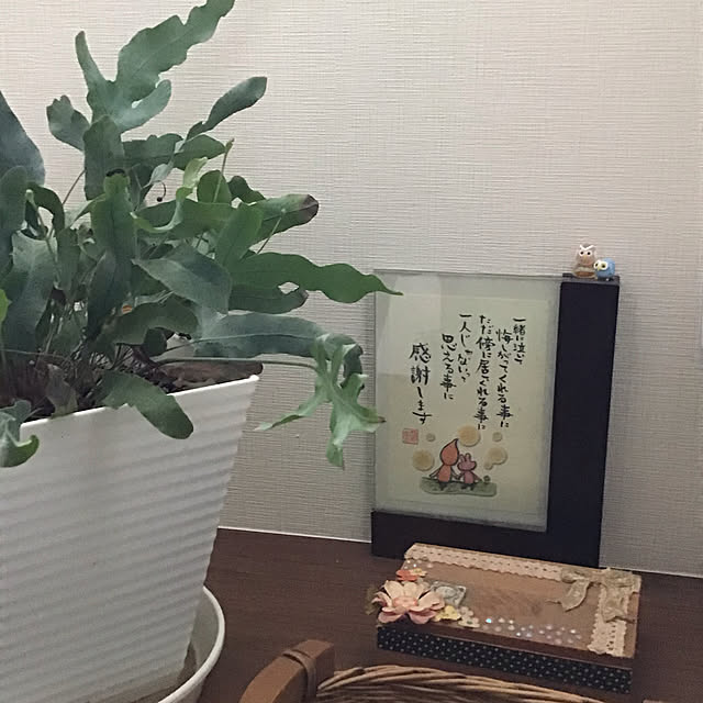 tomtom654さんの実例写真
