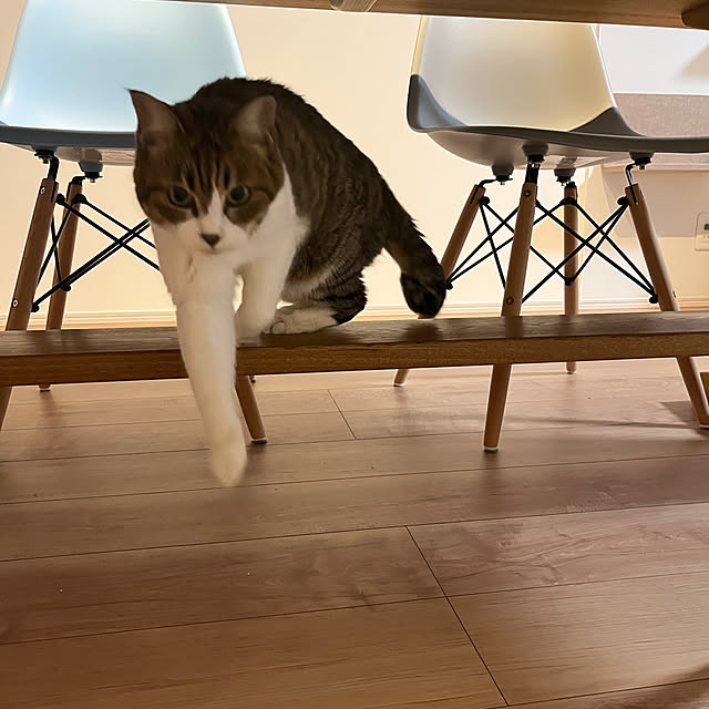 tiroさんの部屋