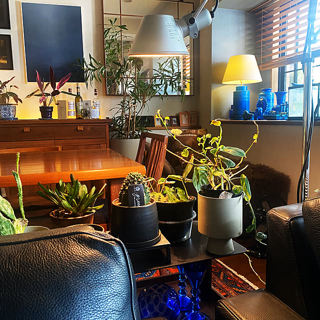 amyさんの実例写真