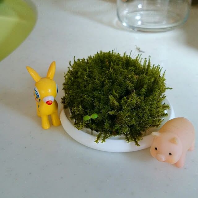 yu-さんの実例写真