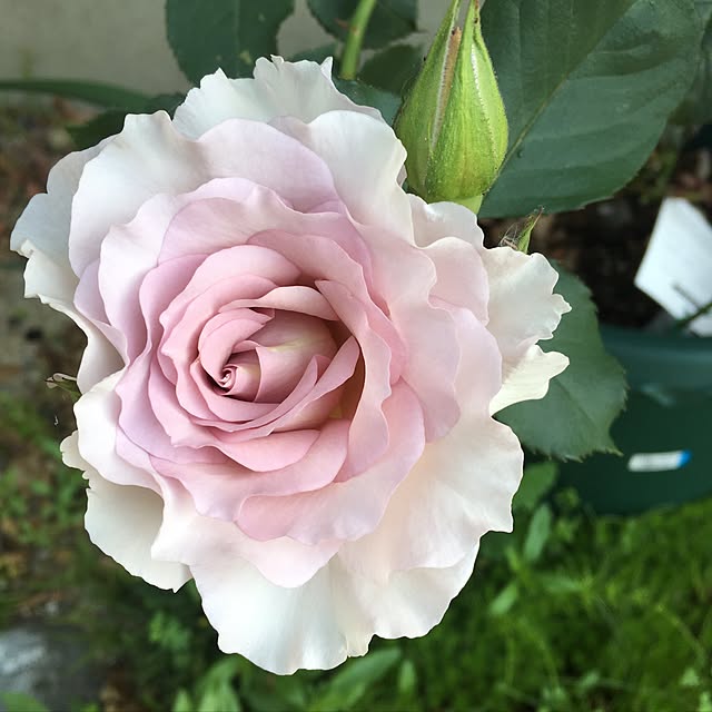hanahanaさんの実例写真