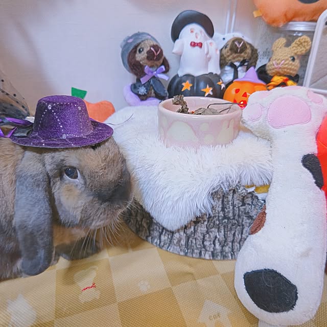 mariaさんの実例写真