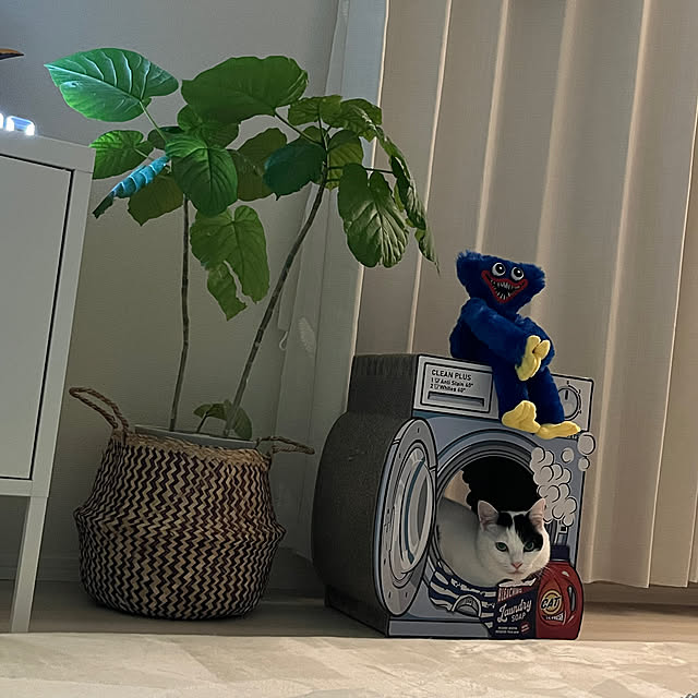 ganmoさんの実例写真