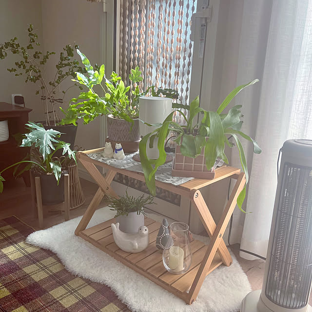 ha_ru76さんの部屋