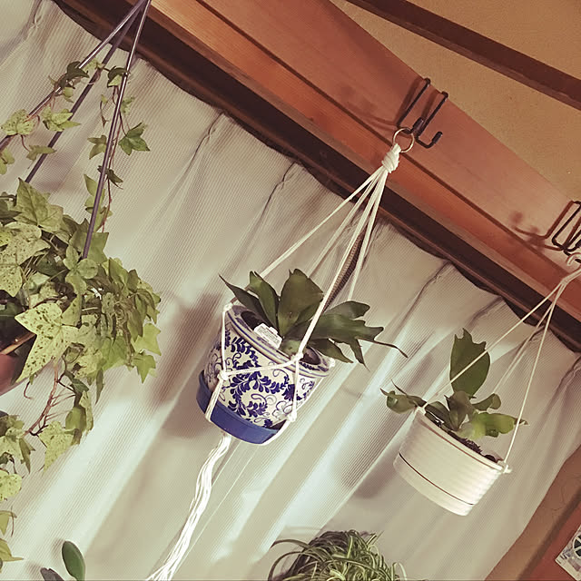 MOKOさんの実例写真