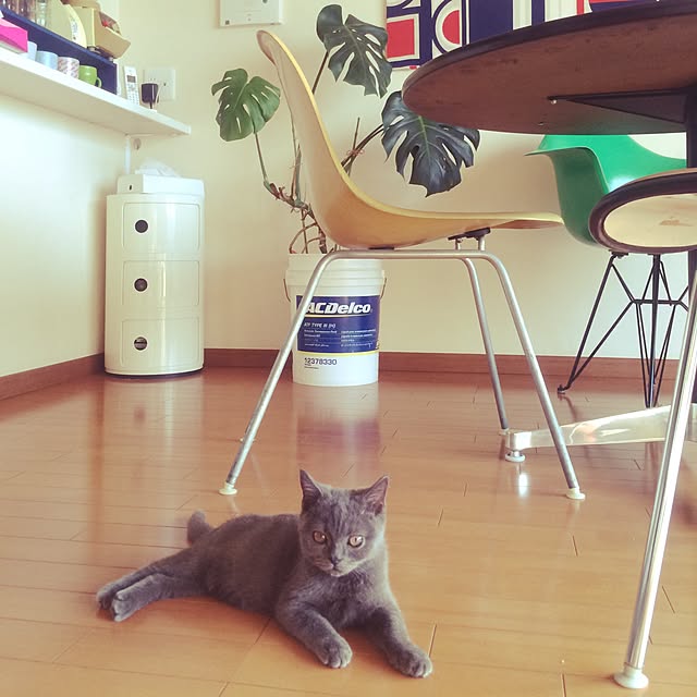 Shojiさんの実例写真