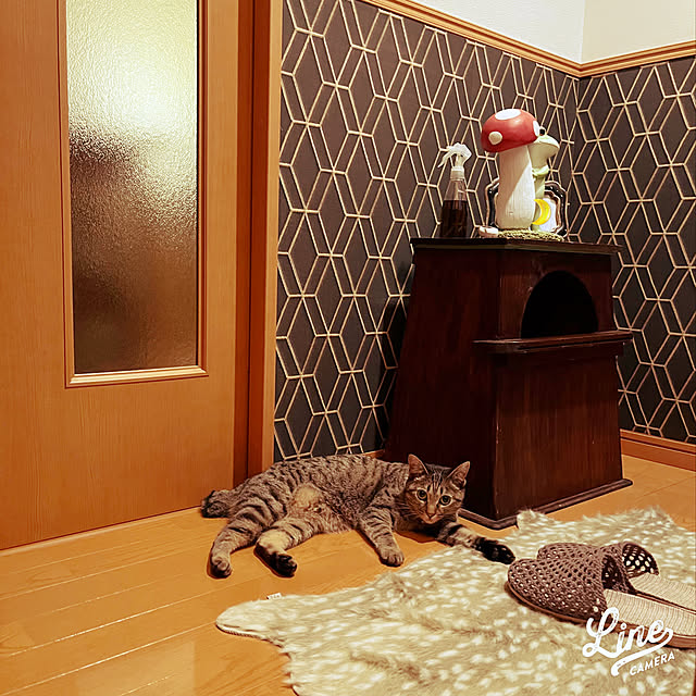 Mさんの実例写真