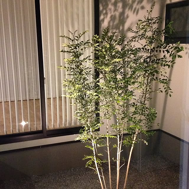 KOHAREさんの実例写真
