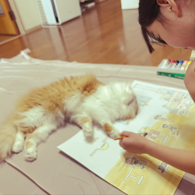 junさんの部屋