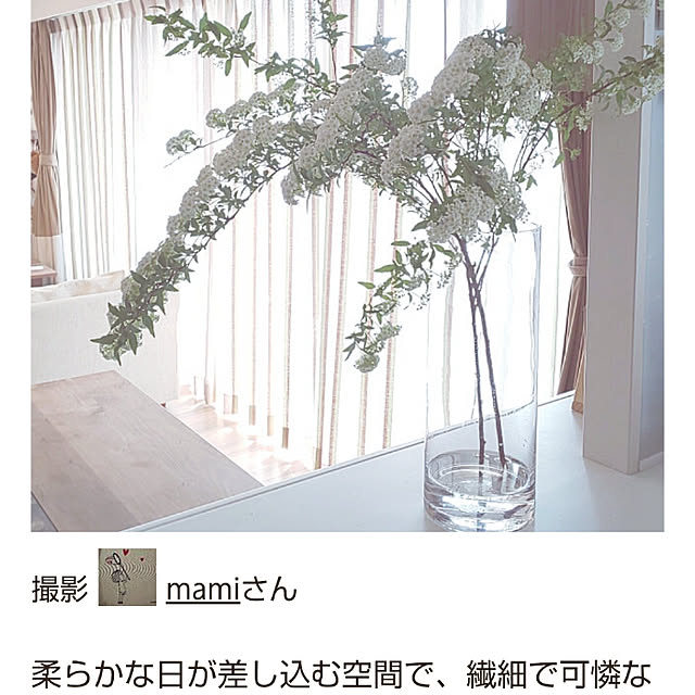 mamiさんの実例写真