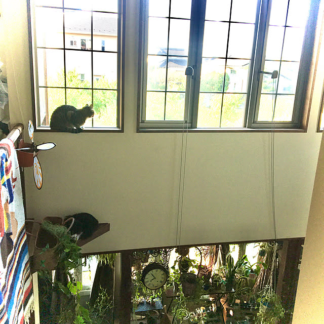 shigimiさんの実例写真