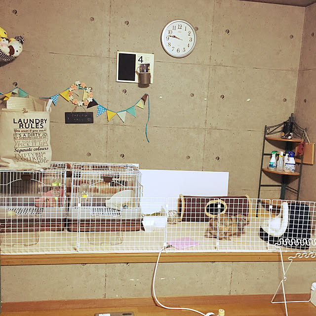 nanakoさんの実例写真
