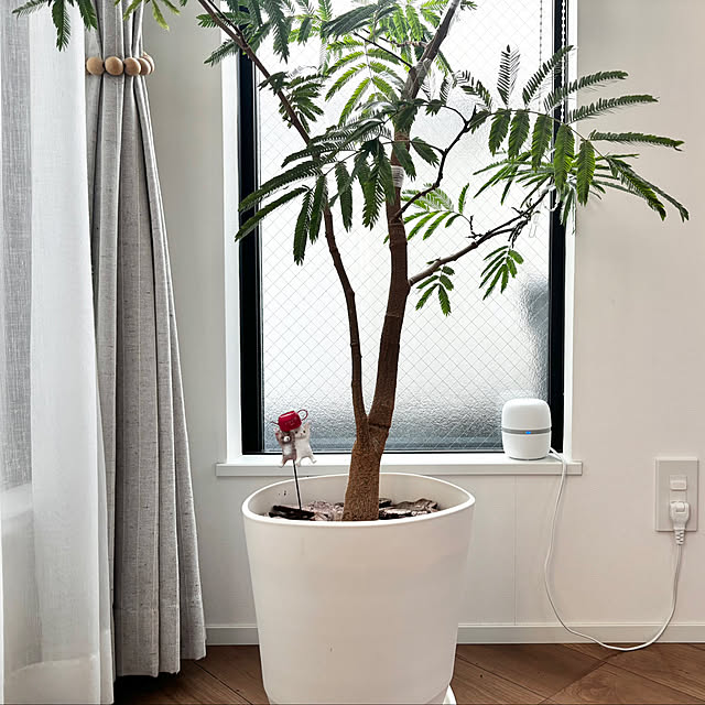 nonp--yさんの実例写真