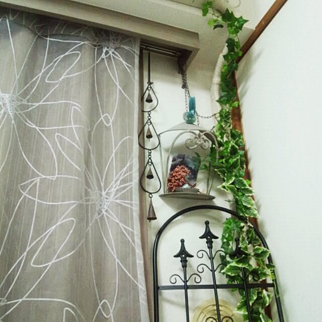 pikoさんの実例写真