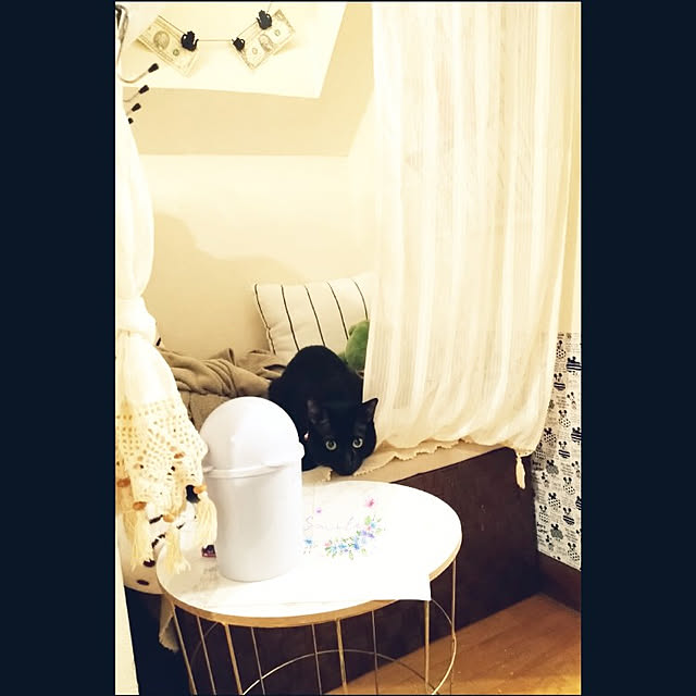 Tさんの実例写真