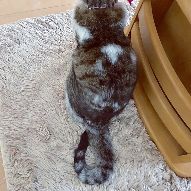 nnmmさんの実例写真