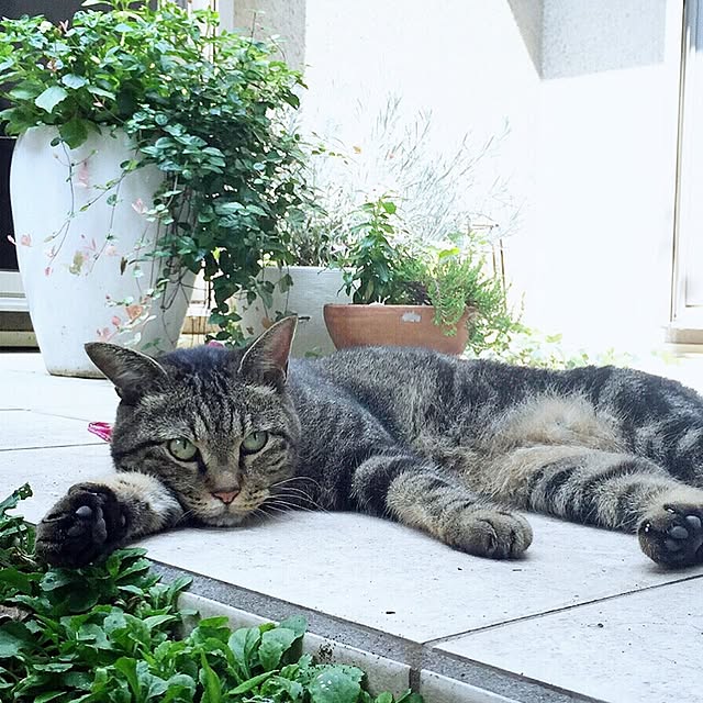 coconana165さんの実例写真