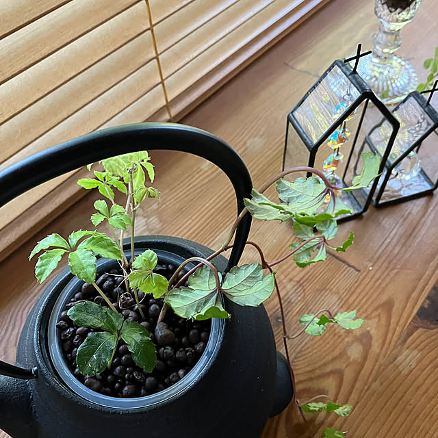 ikubooさんの部屋