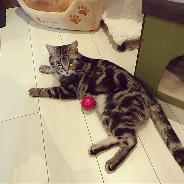 KotarouKunさんの実例写真