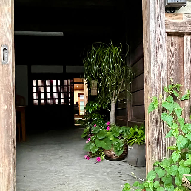 cota2さんの部屋