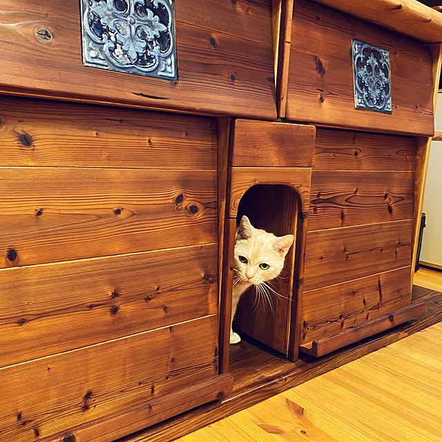 Let-s-DoDoDoさんの部屋