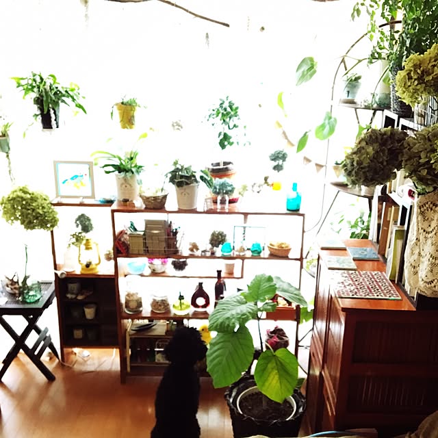 pandakopandaさんの実例写真